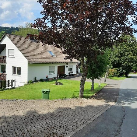 Ferienwohnung Birgit Winterberg Bagian luar foto
