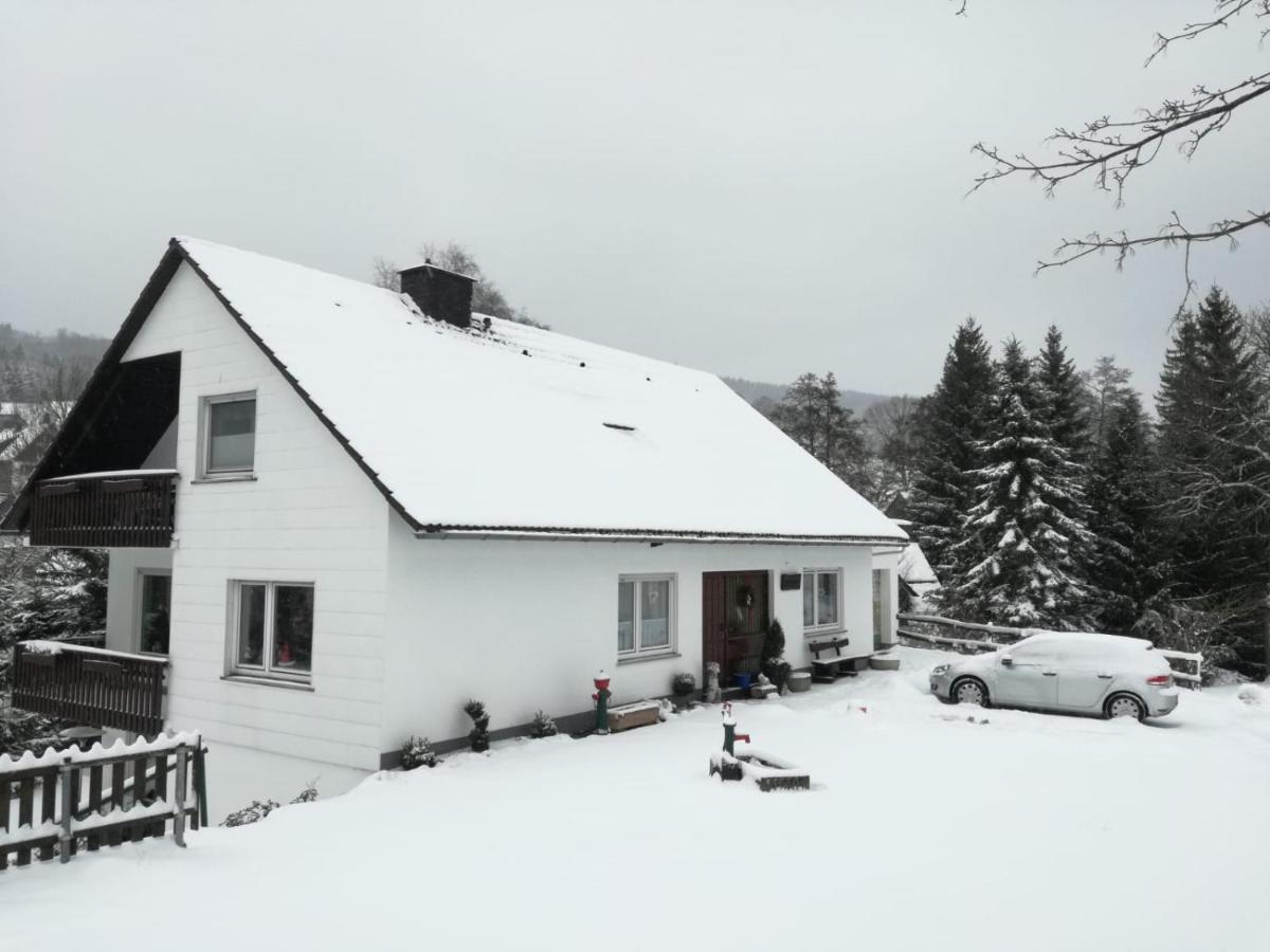 Ferienwohnung Birgit Winterberg Bagian luar foto